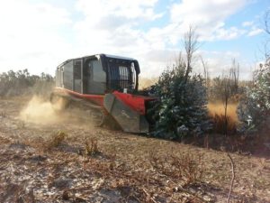 stump grinder